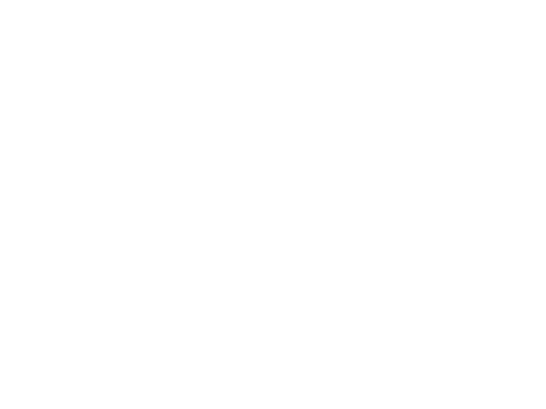 Альпика Групп