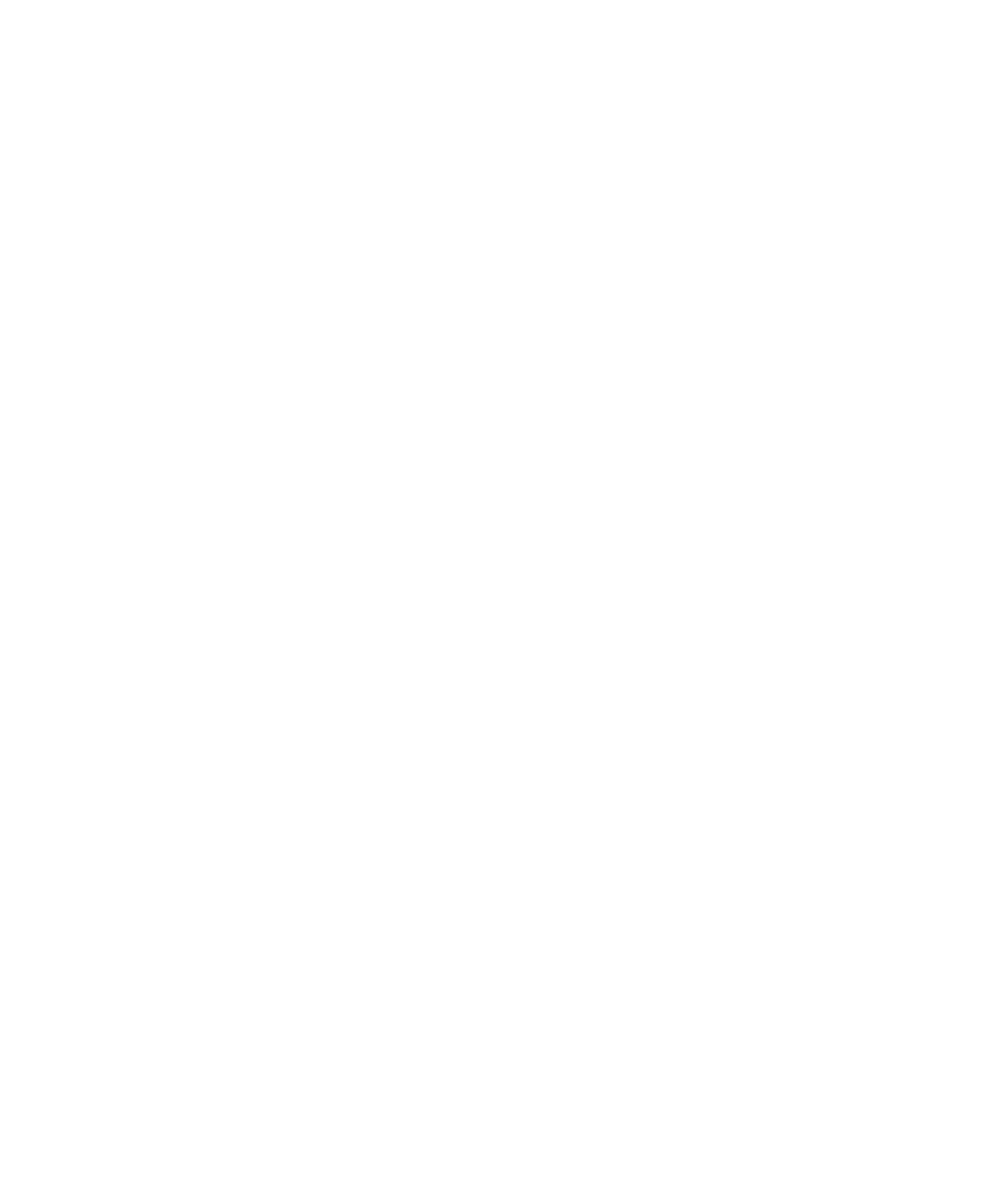 ГК Fizika Development