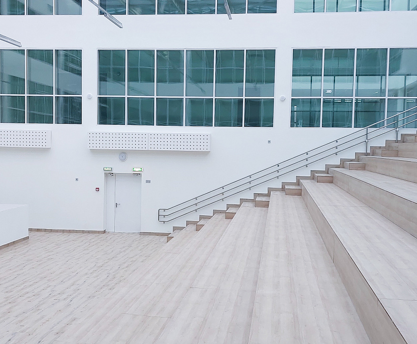 Лицей (жилые кварталы «Кронфорт»)