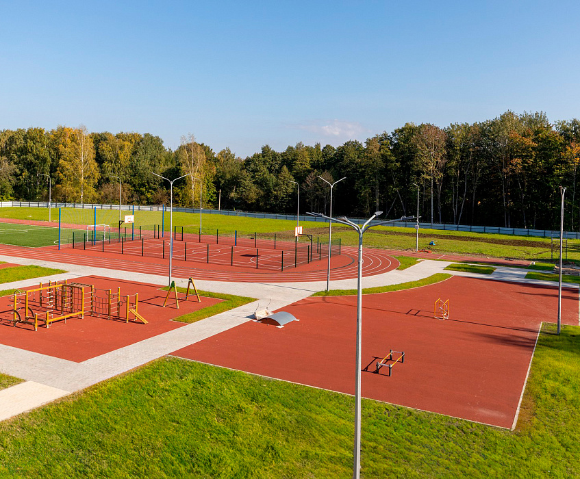 Лицей (жилые кварталы «Кронфорт»)