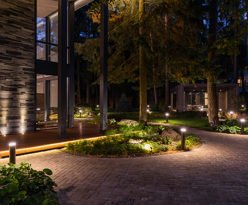 Успенские сосны