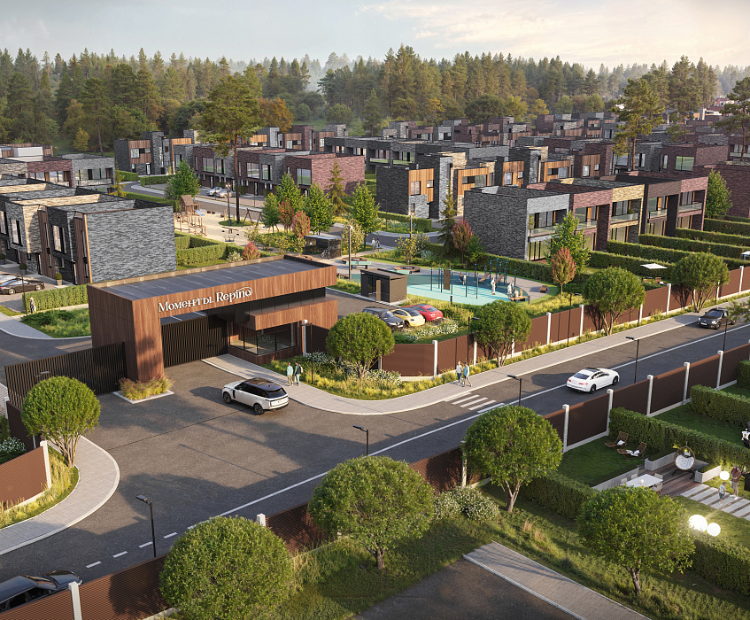 Моменты. Репино