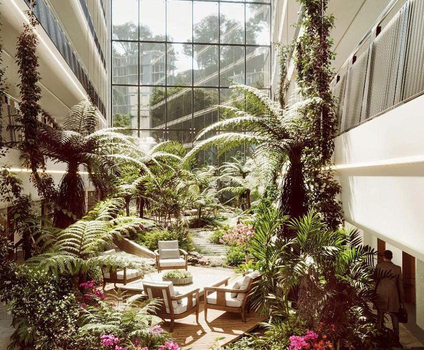 Санаторий  «Кристалл»